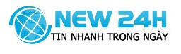 New24h.vn