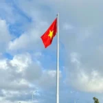 0209 thuong co co to