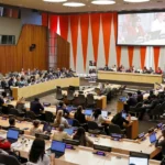 1109 un women