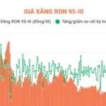 1809 gia xang