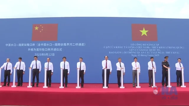 avatar of video 1514319
