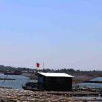 da nang nuoi trong thuy san 4