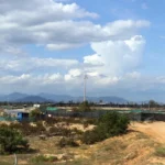 dien hat nhan ninh thuan 1
