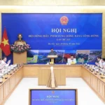 dong dieu phoi vung dong bang song hong lan thu sau 8285906