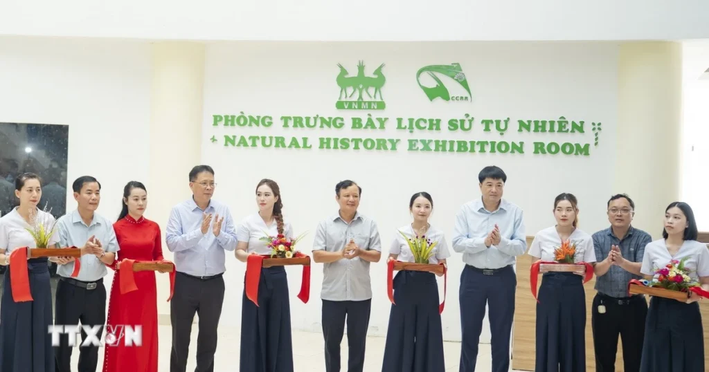 Du khách đến Huế có thêm địa chỉ trải nghiệm hấp dẫn 1 du lich hue