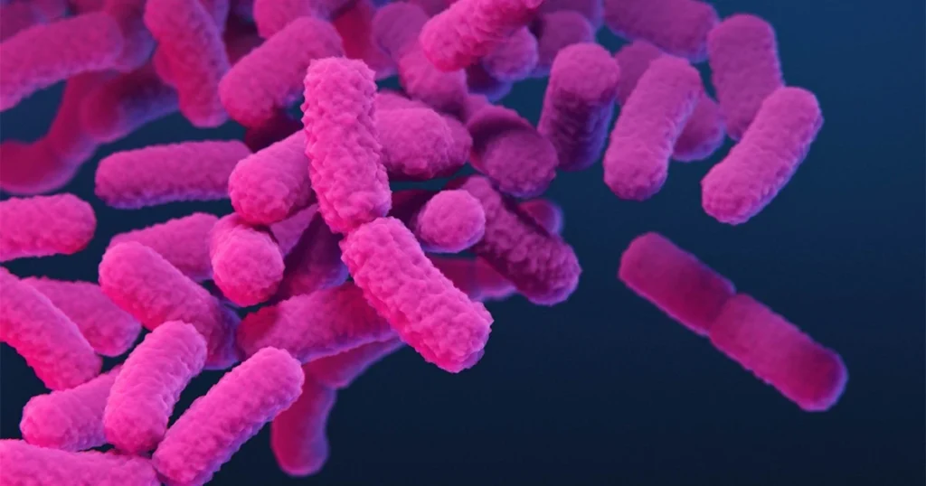 Canada công bố danh sách 29 siêu vi khuẩn nguy hiểm nhất đối với con người 1 enterobacterales