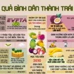 halv infographics ngang