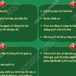 info bo doi cu ho 1 7478