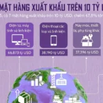 info xuat khau