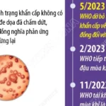 infographics dau mua khi 1 5811