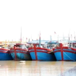 iuu ninh binh 1