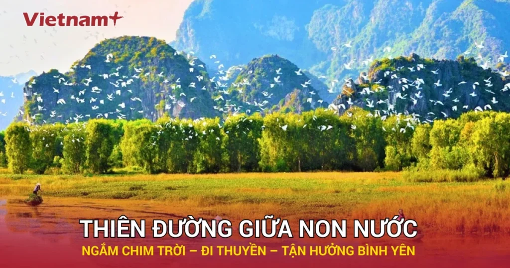Thung Nham Ninh Bình: Thiên đường sinh thái khiến du khách mê mẩn 1 thubnailk thung nham cms