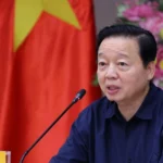 tran hong ha resize