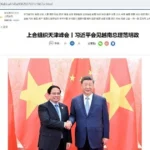 trung viet 8485