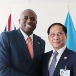 vn anh