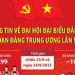 vna potal thong tin ve dai hoi dai bieu dang bo cac co quan dang trung uong lan thu nhat 8290267 5798