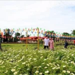 dong nai