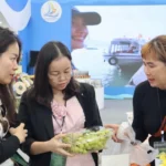 hoi cho mua thu 1 1