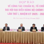 hop bao