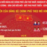 info dang bo chinh phu avatar