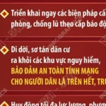 info phong chong lu quet 8110