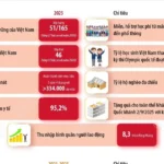 infographics an sinh xa hoi 4093