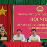 lam dong resize