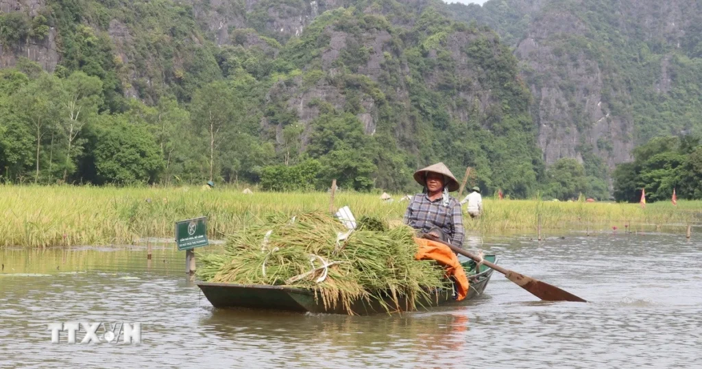 Ninh Bình: Nhiều danh thắng liên tiếp được vinh danh giải thưởng quốc tế 1 mua vang tam coc