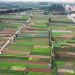 nganh nong nghiep ha noi