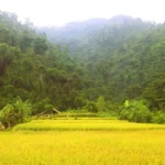 nghe an 1 8