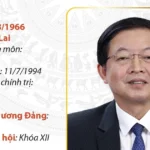 pho thu tuong chinh phu ho quoc dung