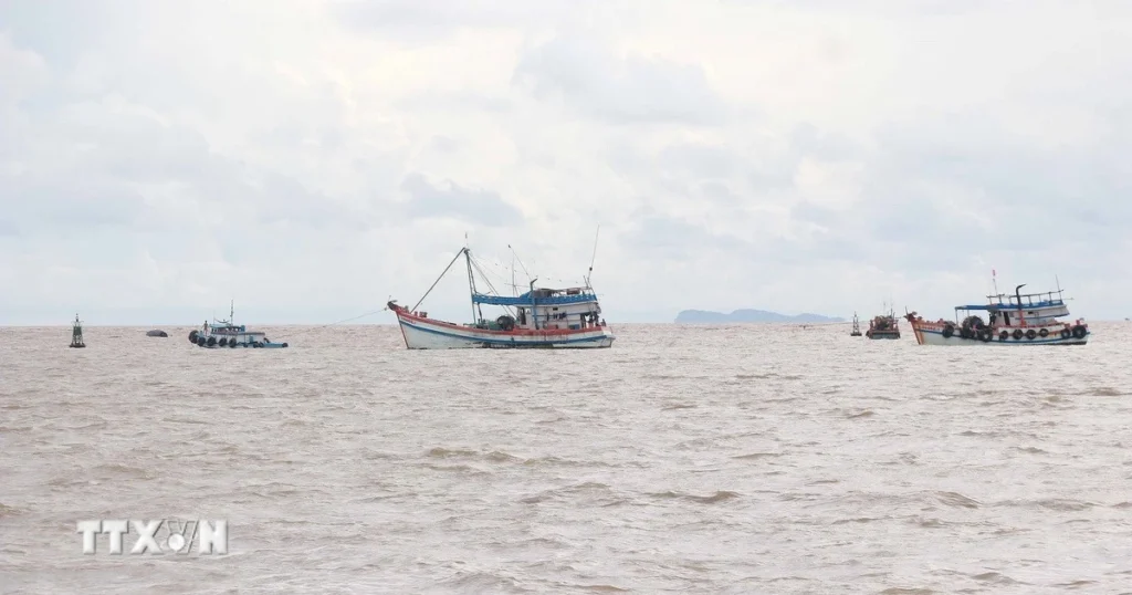 the vang iuu 8307416