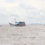 the vang iuu 8307416