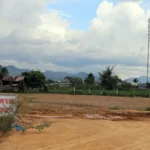 thu hoi dat 7202