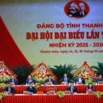 thu tuong pham minh chinh du dai hoi dai bieu dang bo tinh thanh hoa lan thu xx 8339509 5
