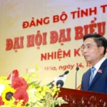 thu tuong pham minh chinh du dai hoi dai bieu dang bo tinh thanh hoa lan thu xx 8339509 7