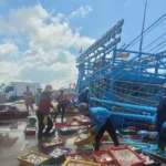 tp ho chi minh quyet liet chong khai thac iuu