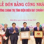 truong chinh tri