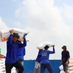 xuat khau gao 4