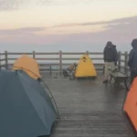 cam trai jeju