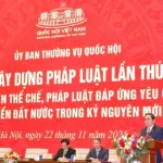 dien dan xay dung phap luat lan thu nhat 3