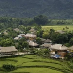 giang mo