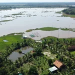 ho phuoc hoa 1 resize