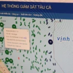 hue iuu 2 1657