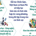 infographics viet nam nam phi nang cap quan he len doi tac chien luoc 1 5151