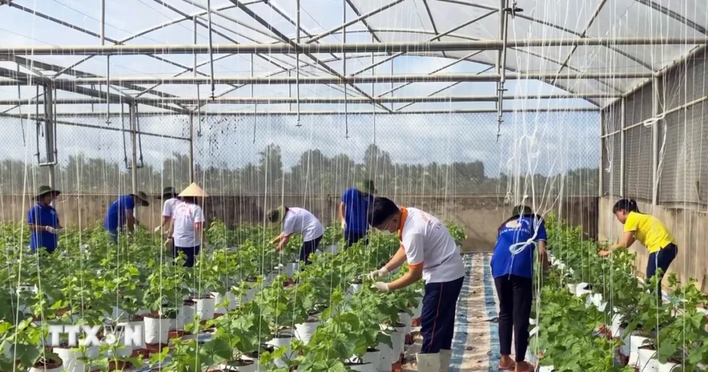 Kiện toàn thành viên Ban Chỉ đạo Trung ương các chương trình mục tiêu quốc gia 1 nong nghiep xanh3