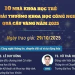 qua cau vang avatar