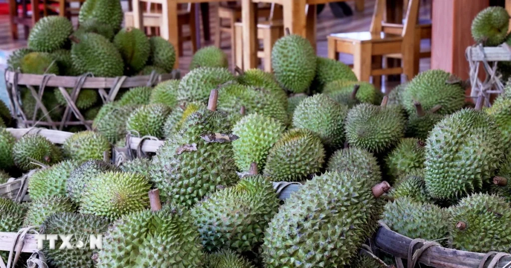 sau rieng