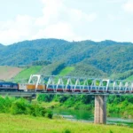 tau hoa