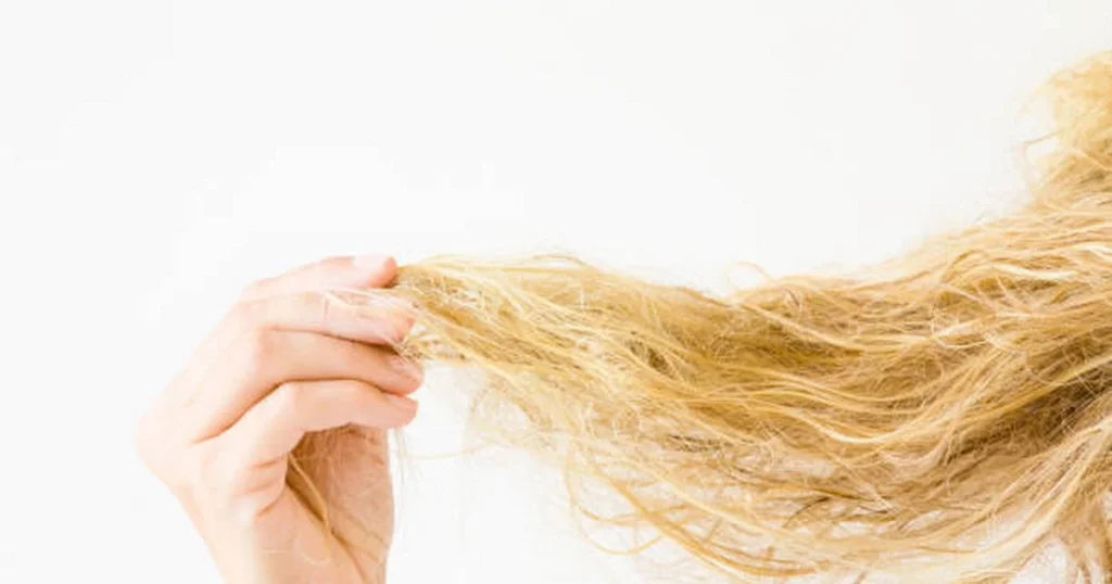 Bí quyết giúp mái tóc tẩy khô xơ trở nên mềm mượt và tràn đầy sức sống 1 toc tay